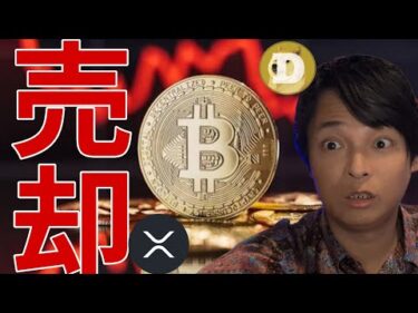 ビットコインついに売却！仮想通貨リップルとドージコインに進展！