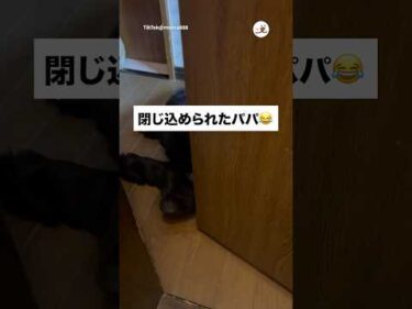 出待ちが仇となりました｜PECO