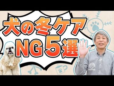 犬の寒さ対策、やりすぎ注意！優しさが裏目に出る５つの行動