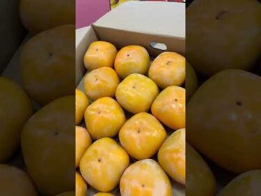 野菜即売会#ボートレース三国 #shorts