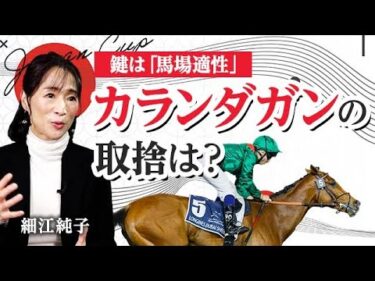 【ジャパンカップ2025】欧州最強馬・カランダガン参戦！ 海外馬の好走条件とは/細江純子