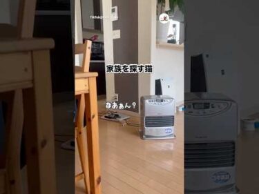 みんなどこいったのー？😭｜PECO