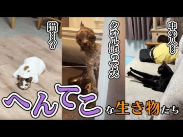 【👽👻👽】へんてこな動物たち｜PECO