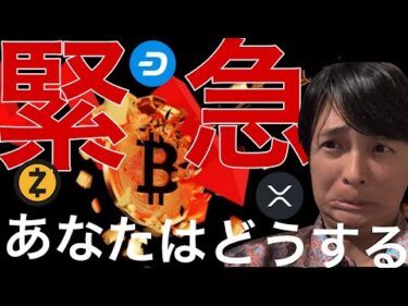 緊急事件でビットコイン大暴落へ？あの仮想通貨たちは爆上げ！あなたはどうする？
