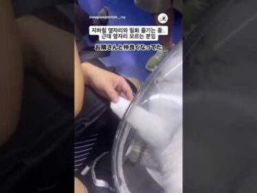 手繋いでる｜PECO