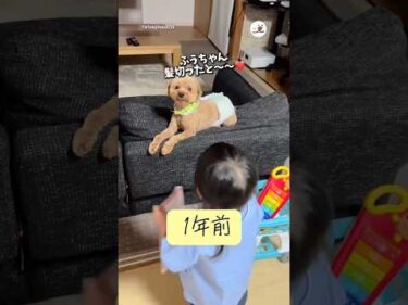 変わらないリアクション☺️｜PECO