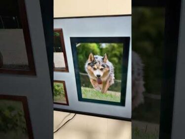 これ凄くない？