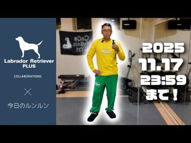 【お知らせ】締切間近！ラブラドールレトリバープラス x 今日のルンルンコラボグッズ　Great Pyrenees　グレートピレニーズ