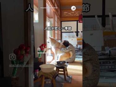 お互いあったかいね☺️｜PECO