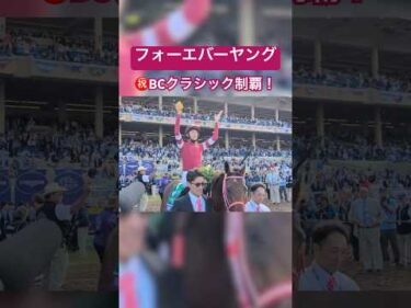 フォーエバーヤングがBCクラシック制覇！ #shorts #競馬 #ブリーダーズカップ #BC #坂井瑠星