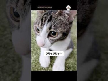 ヒゲが0本になちゃった…｜PECO