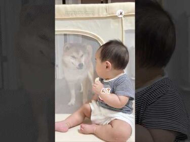 これは食べづらいわ😅｜PECO