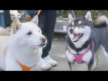 初めての家族旅行にいきました。