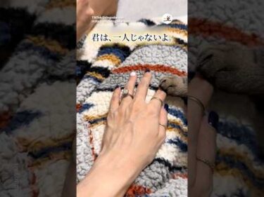 この愛は永遠｜PECO