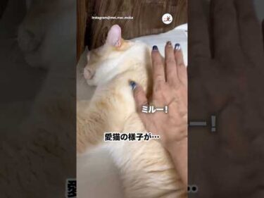 心配したのに…笑｜PECO