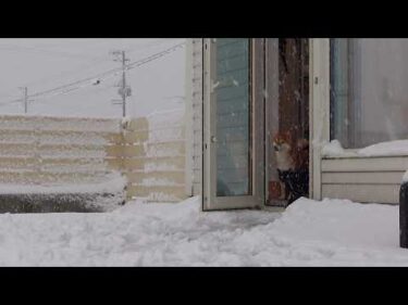 初雪が想像以上に大雪でした。