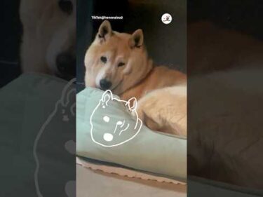 見たことない線が現れた｜PECO