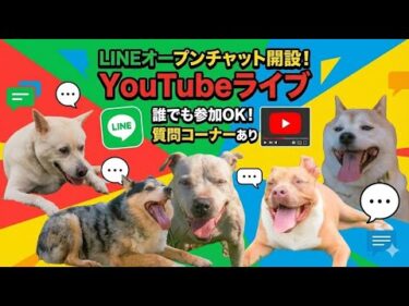 【LINE】オープンチャット開設させて頂きました（使い方説明）16時より配信