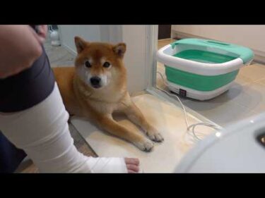 ママが足湯をすると可愛い現象が起きました