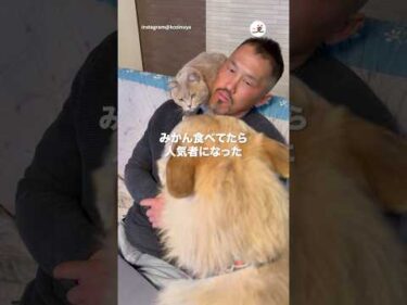 人気者のオヤジさん🍊｜PECO