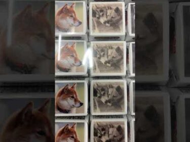 ありがとうございます！