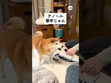 テノール歌手じゃん｜PECO