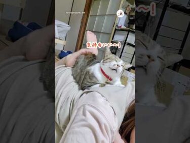 これが好きで何度も催促してくる｜PECO