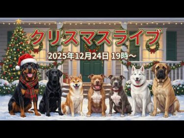 クリスマスライブ12月24日19時スタート