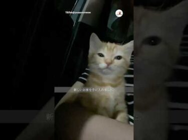 私の名前はゆずです｜PECO