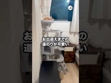 これは早く帰りたくなる☺️｜PECO