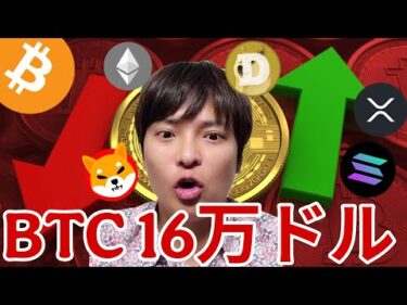 ビットコイン2026年16万ドル(2,400万円)！二極化する仮想通貨