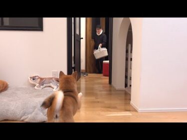 急遽病院へ行ってきました