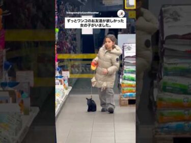 ずっと欲しかったお友達｜PECO