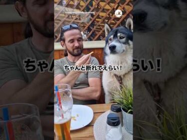 人間はこんなの食べてるのか｜PECO