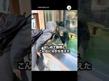 初めて動物とこんなに分かち合えた☺️｜PECO