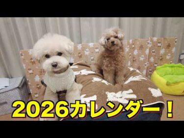 2026年のカレンダーが可愛くできたので是非見てほしいです！