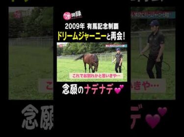 【有馬記念2009】春秋グランプリ連覇あのドリームジャーニーをナデナデ⁉︎ #謙聞録 #netkeiba で配信中 #池添謙一 #ドリームジャーニー #有馬記念