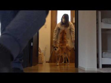 ママが大怪我をしました。