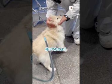 おじさん推し活｜PECO