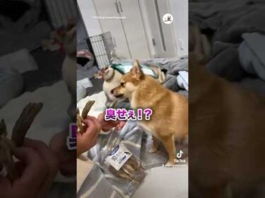 とんちゃんのジレンマ｜PECO