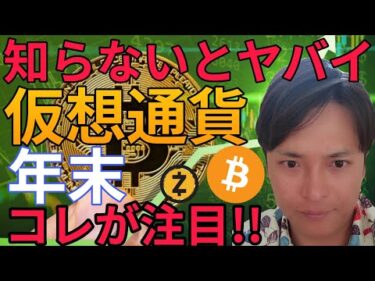 ビットコインとアレ爆上げ！仮想通貨、年末コレが注目されてます！知らないとヤバイです。