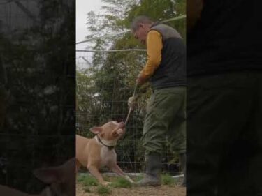 歴代ハプニング