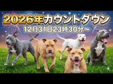 2026年カウントダウンライブ12月31日23時30分配信
