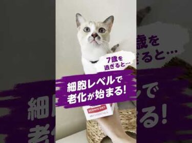 こんなにプリティーな見た目でも。