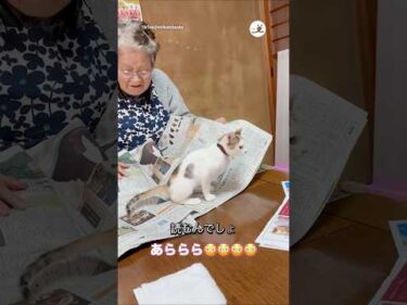 じゃれてるかと思ったらまさかの…🤭｜PECO