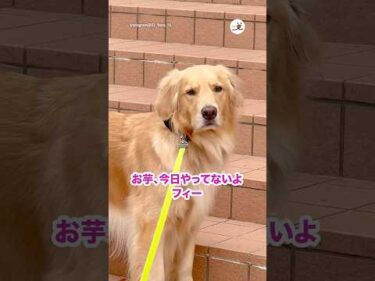 食べ物に関して記憶力半端ない｜PECO