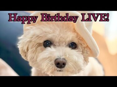 三桜誕生日LIVEこちらで再会します！