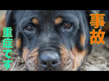 【事故】大変なことになってしまいました