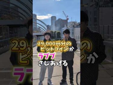 ビットコインかラブブ、るぶは何を選ぶ？