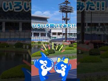 國井 裕樹選手にいろいろ聞いてみた‼